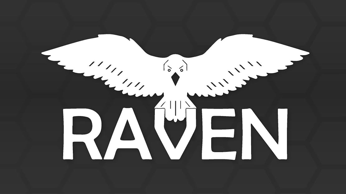 Our Top 5 RAVEN EU Series Pistol Accessories