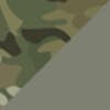 Multicam / Foliage Green