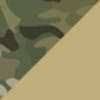 Multicam / Tan