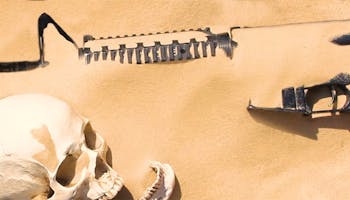 Boneyard