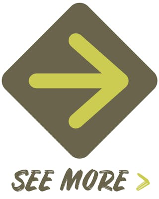 Nav Bar: New & Featured - See More Button