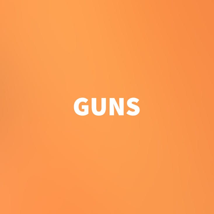 PTS Syndicate - Guns