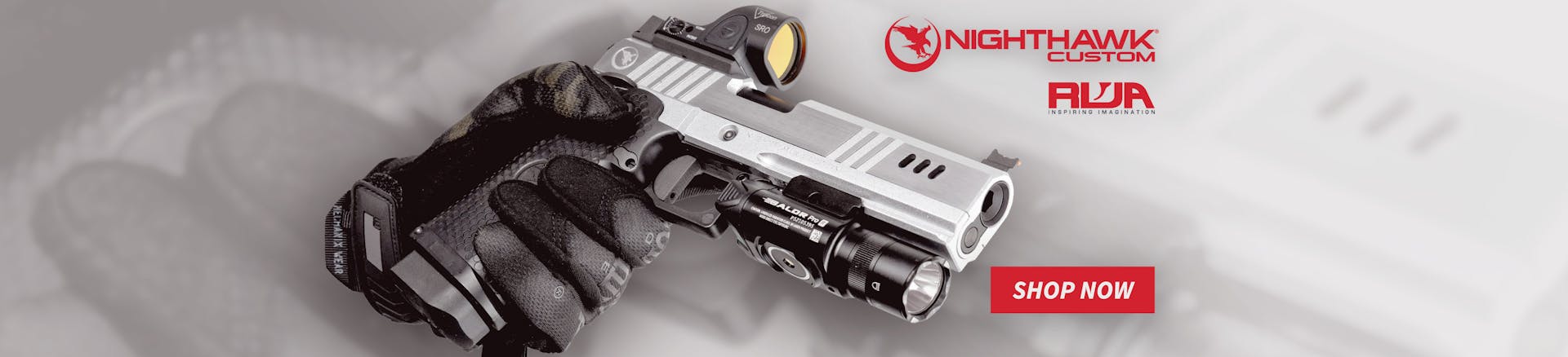 Nighthawk Customs RWA - Hero Carousel