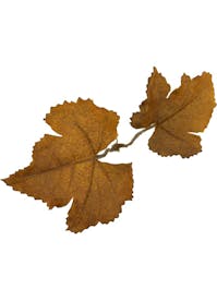 Novritsch Leaf Camo; LC1
