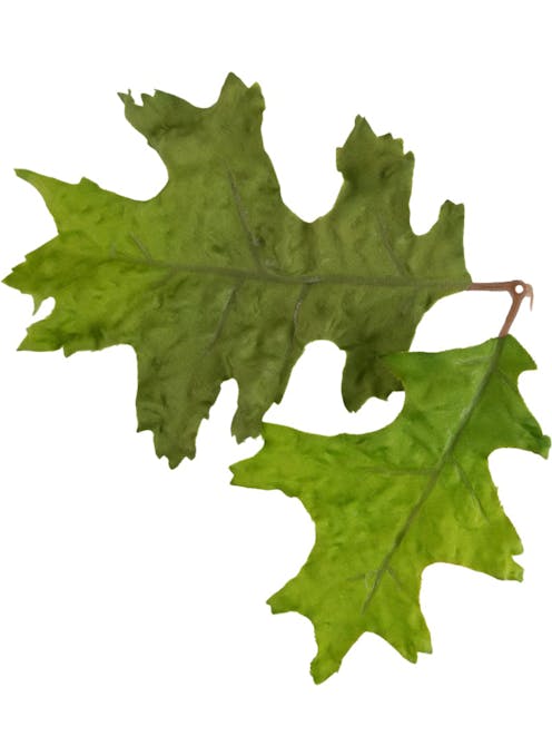 Novritsch Leaf Camo; LC4
