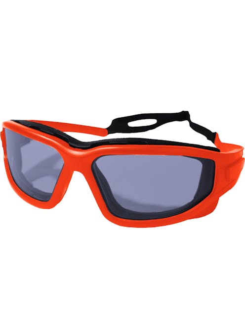 NUPROL Defence Pro's Eye Protection