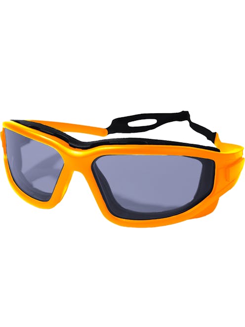 NUPROL Defence Pro's Eye Protection
