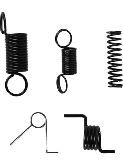 ZC Leopard Gearbox Spring Set