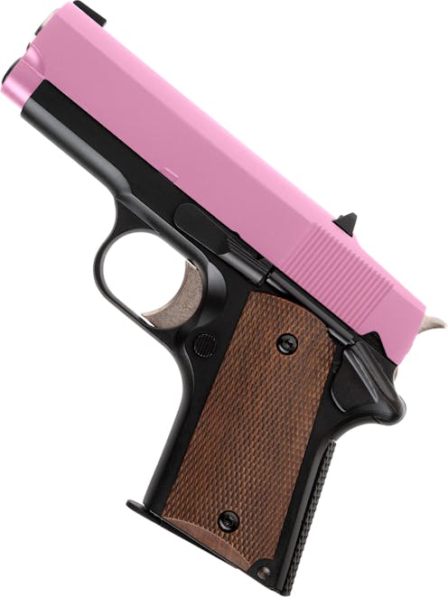 Army Armament R45A1 1911 Compact